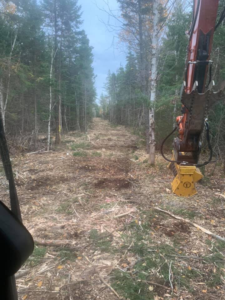Fence & Survey Line Clearing