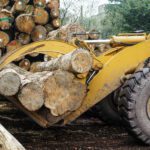 Logging