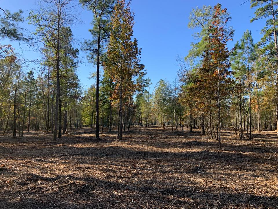 Texas Underbrushing, LLC.