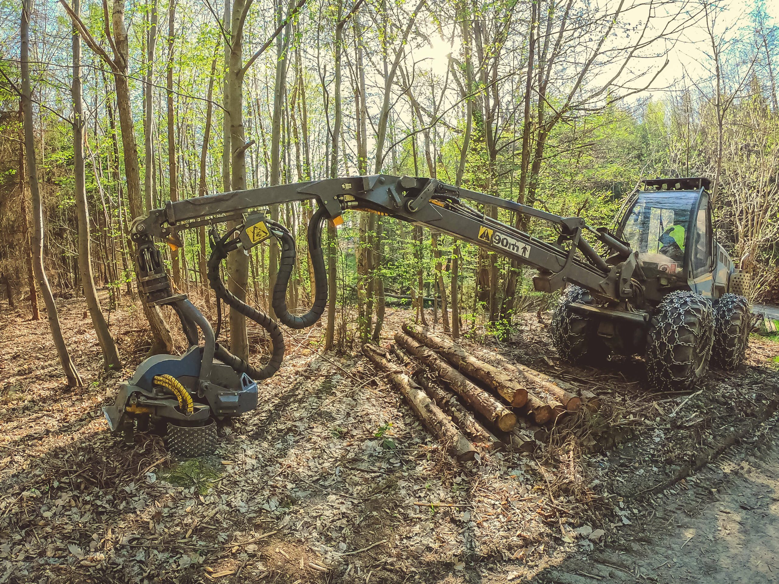 JC Land Clearing