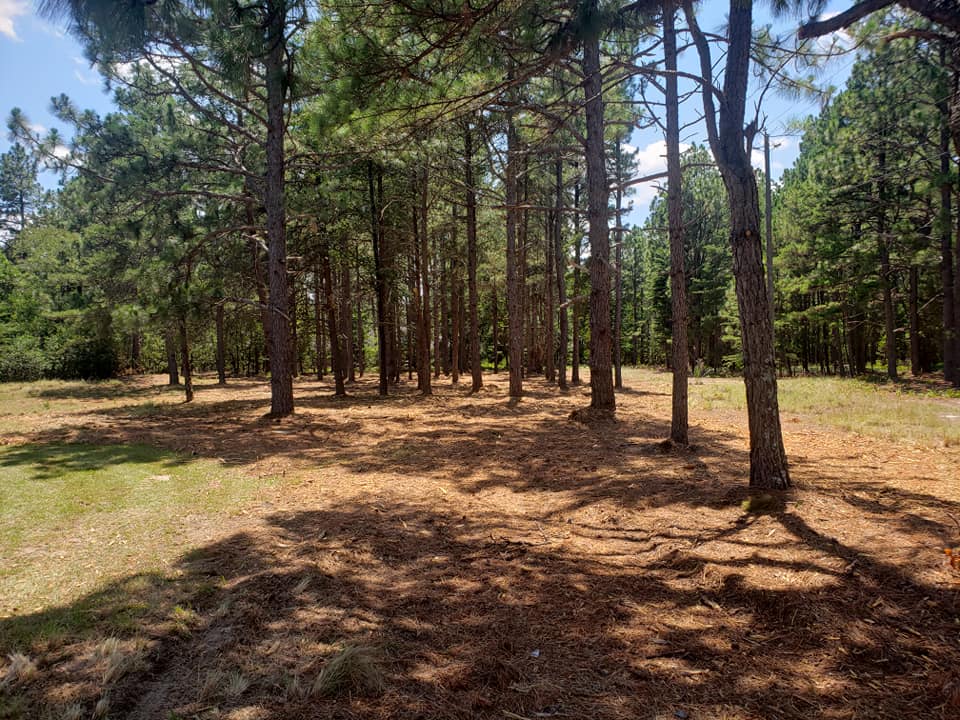 Big Oak Underbrushing & Mulching, LLC.