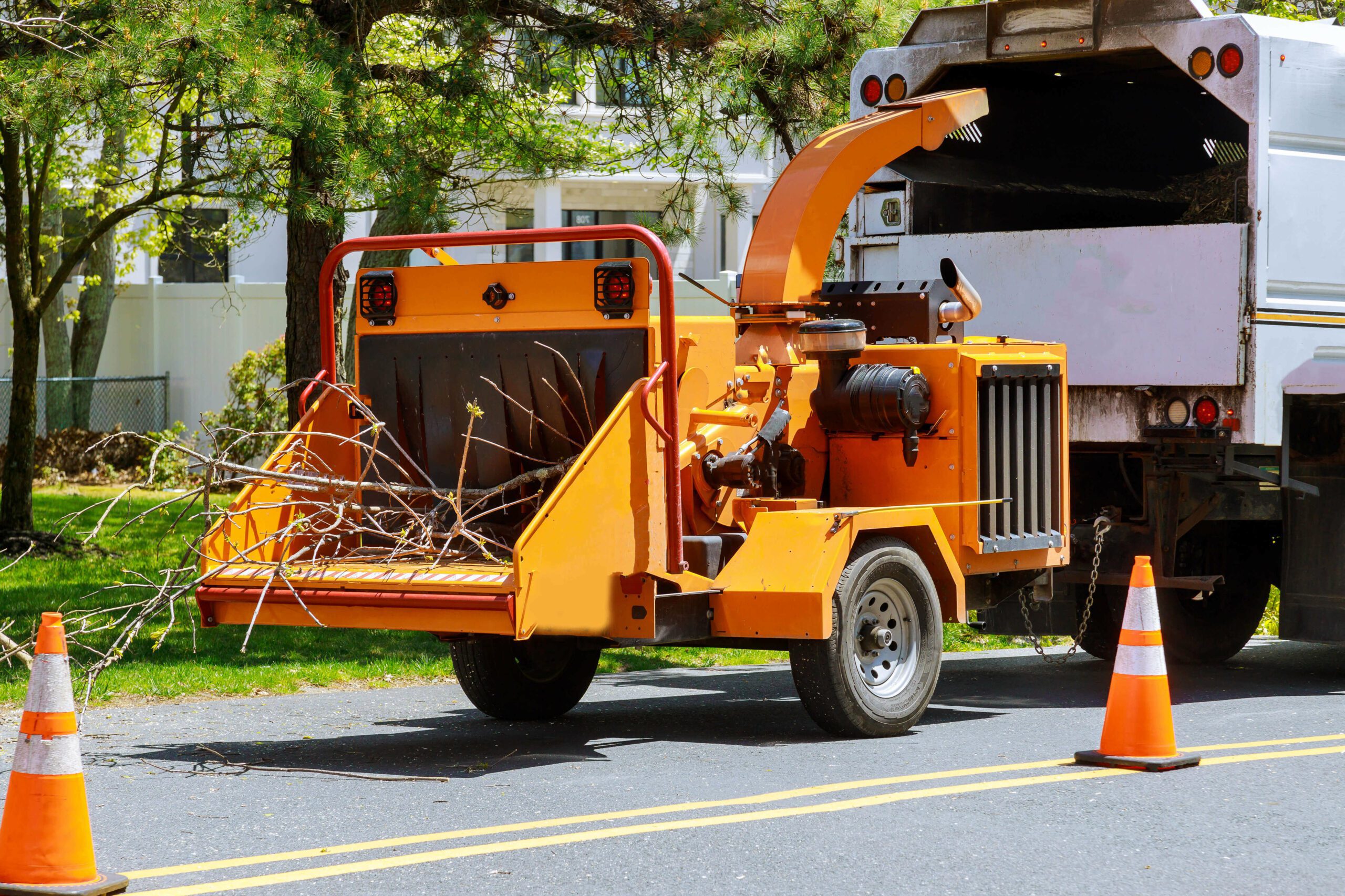 Tree Care Inc