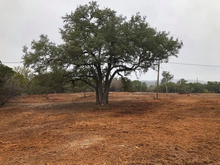 LONE STAR LAND SERVICES