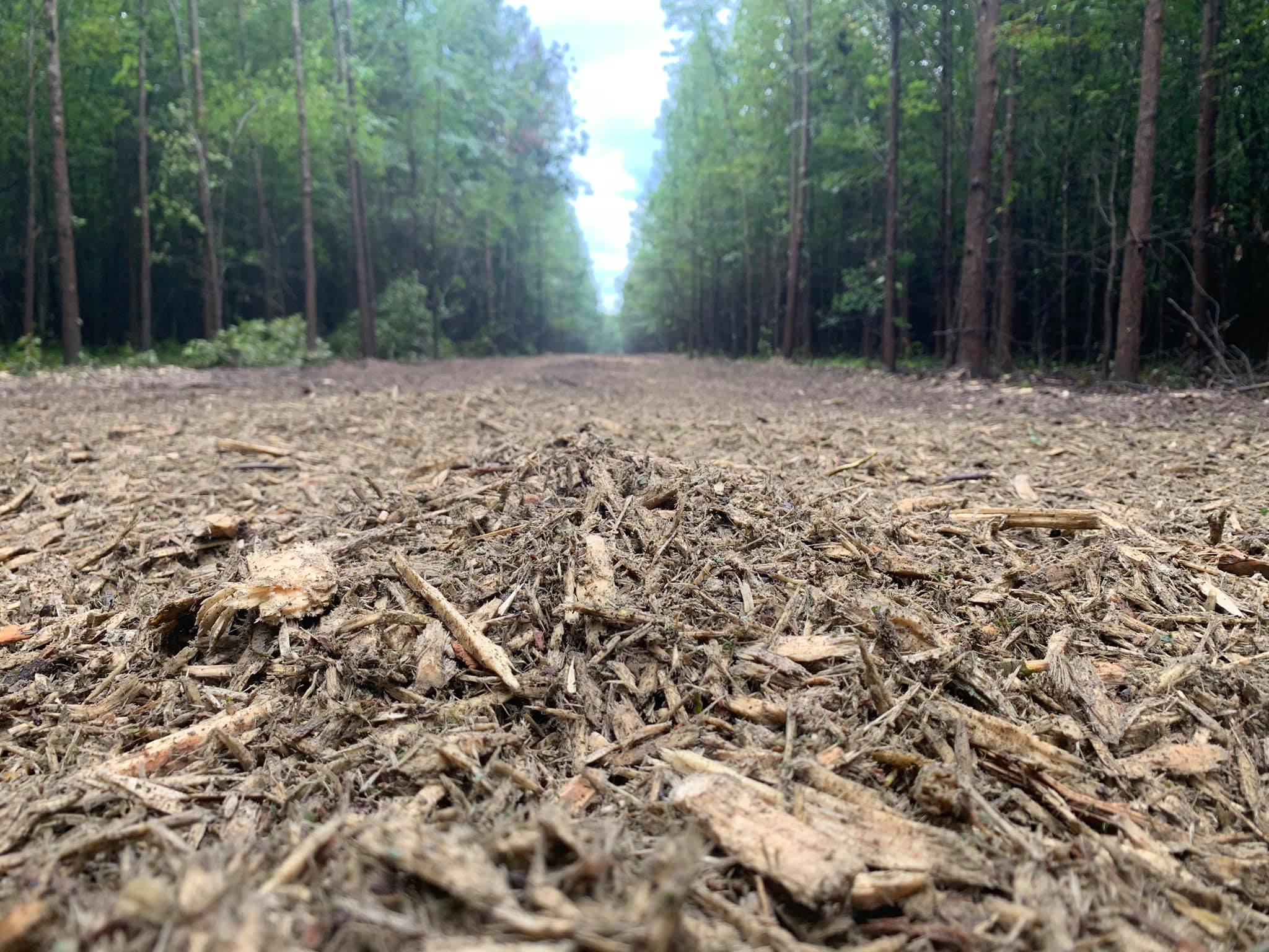 DRT Land Management LLC