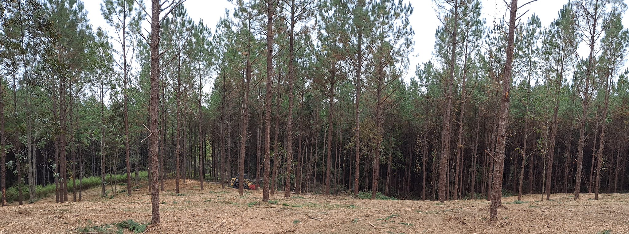 Blue Grove Land Clearing & Dirt Work