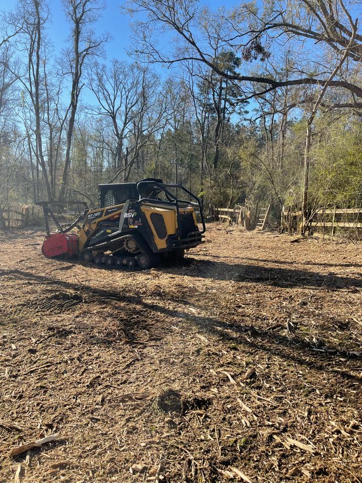 Cajun Land Services