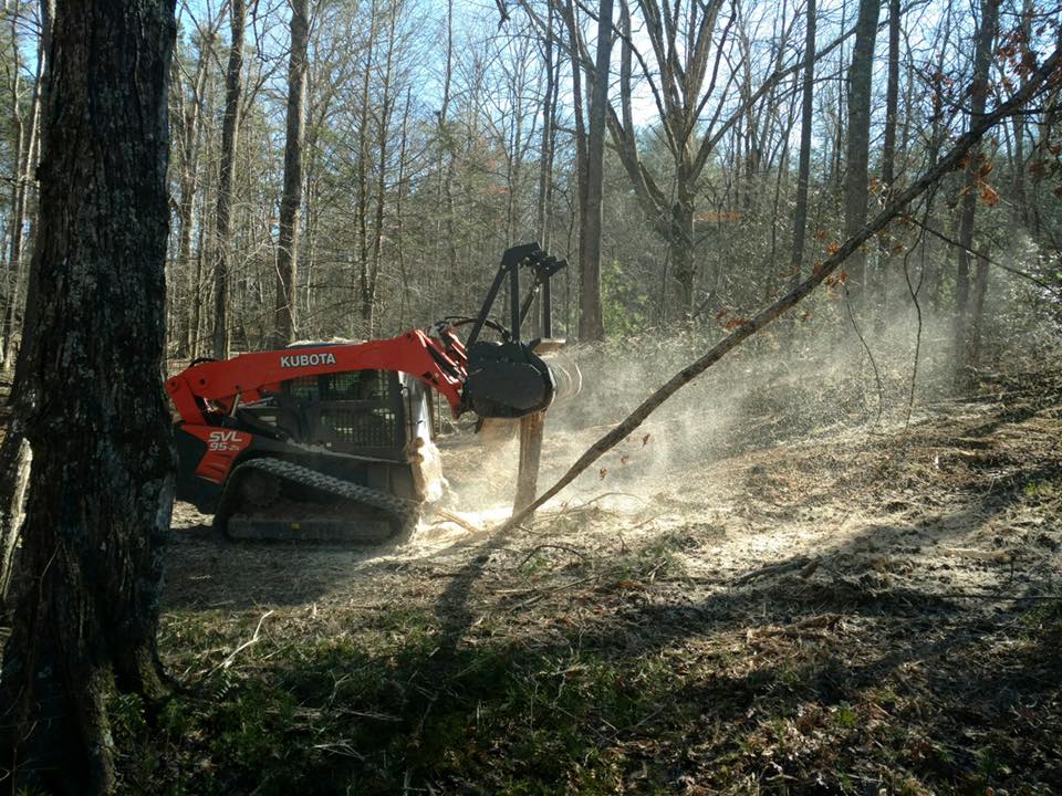 North Georgia Forestry Mulching