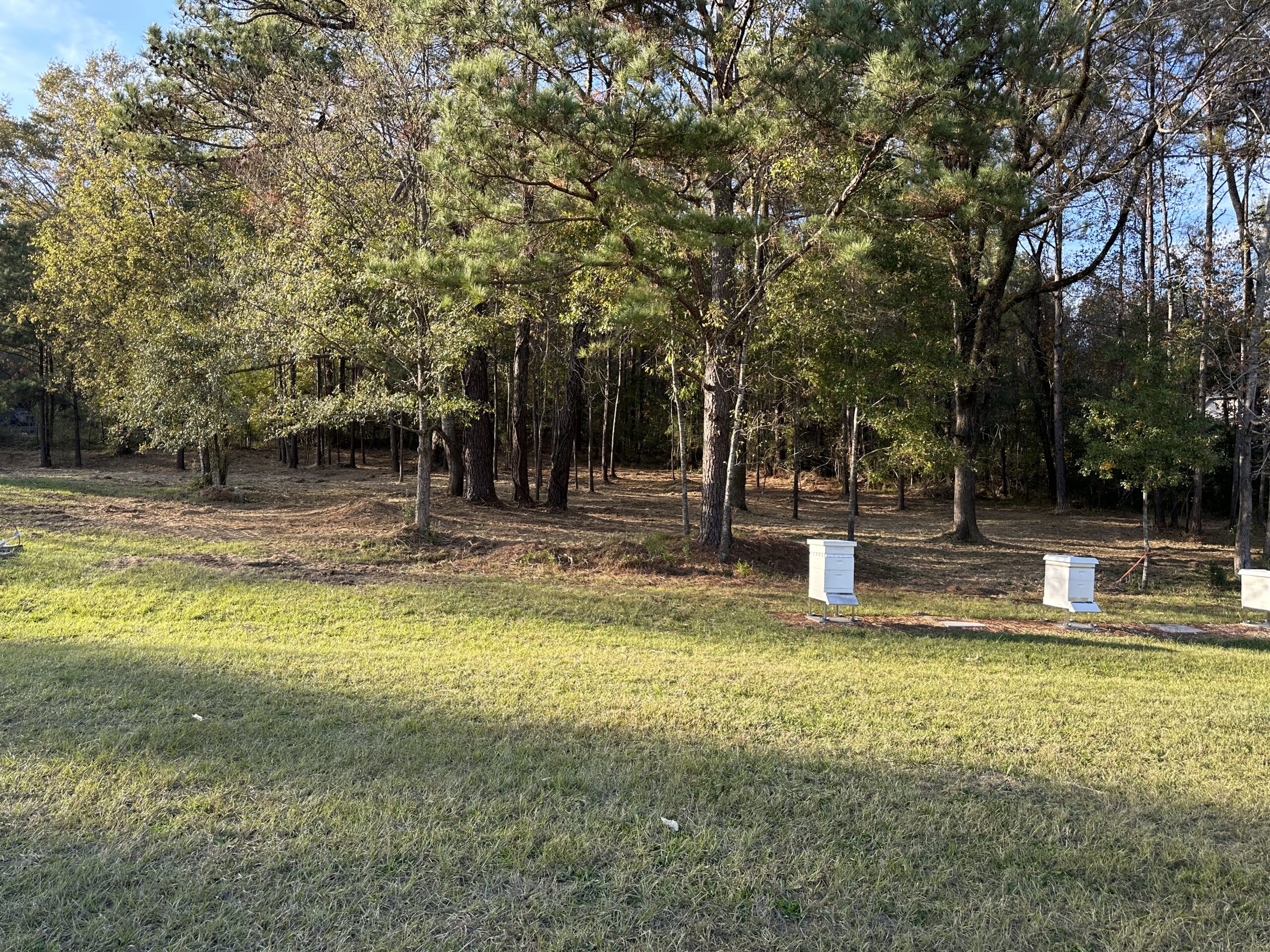EnviroCare Mulching & Land Clearing LLC