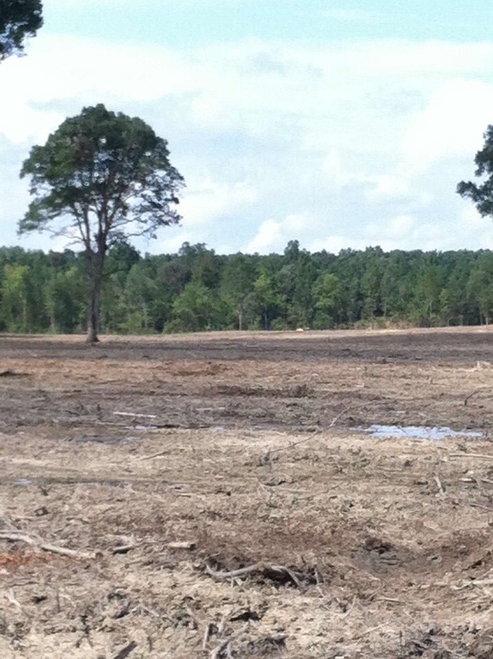 Westco Land Services, LLC