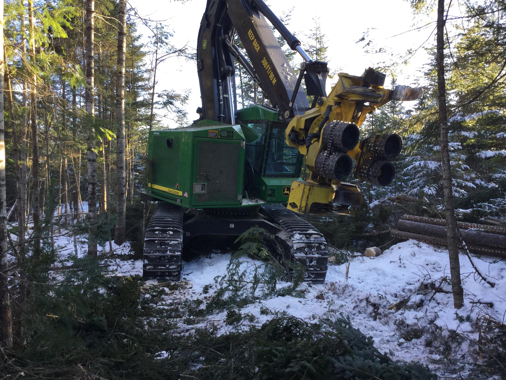 Madden Sustainable Forestry