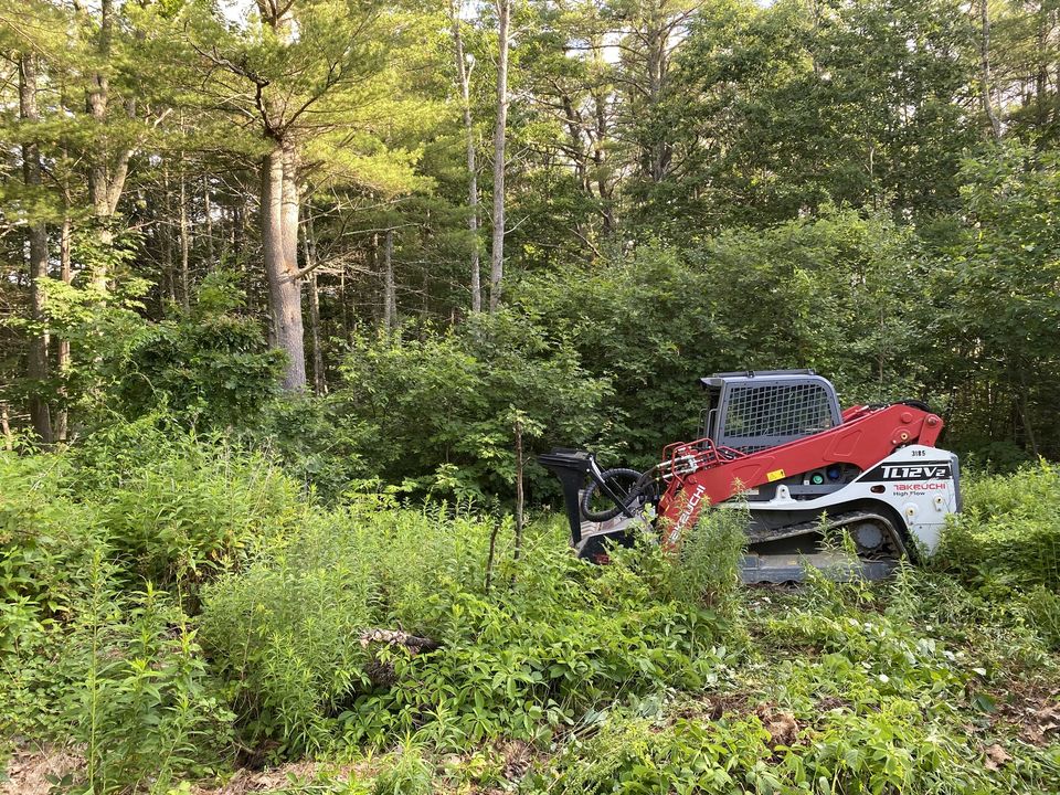 Mid Coast Forestry Mulching