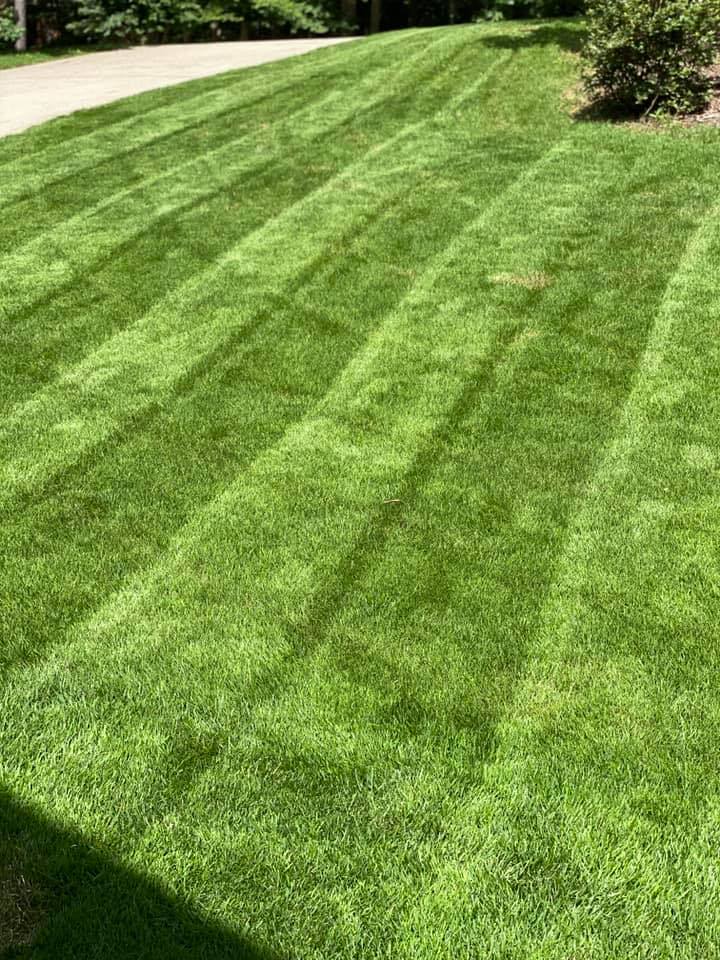 Woody’s Landscaping & Land Services