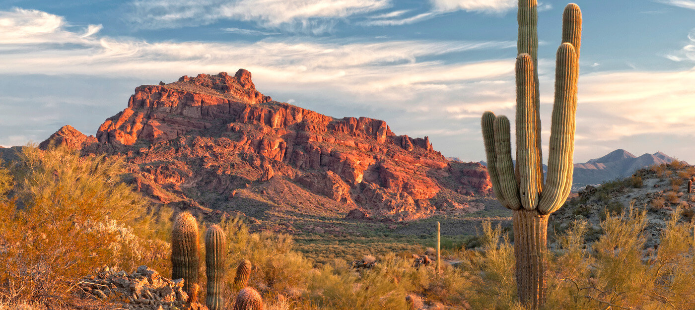 Desert Earth Contracting LLC