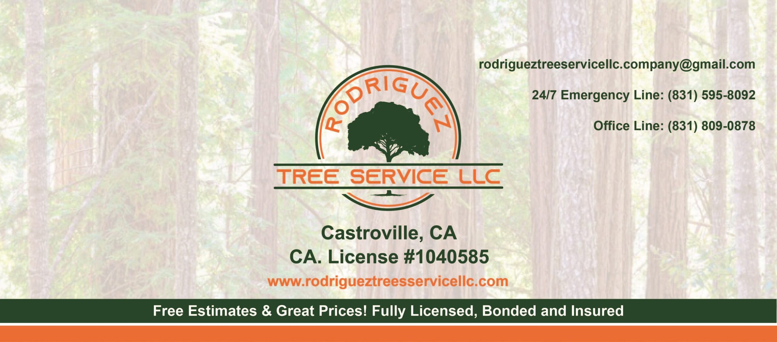 Rodriguez Tree Service LLC