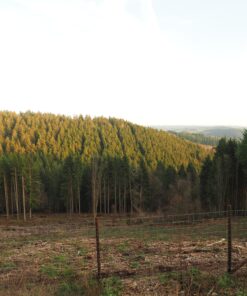 Removal and off-site disposal of old 7-foot woven-wire deer fence